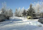 Weihnachten 2001