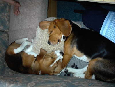 Weihnachten 2001