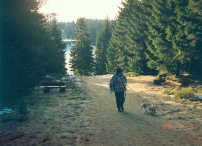Weihnachten 1992