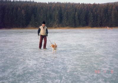 Weihnachten 1992