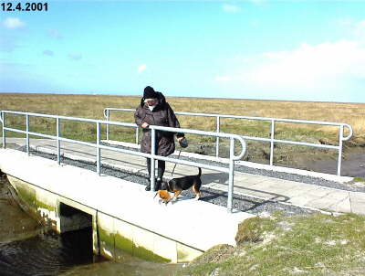 Ostern 2001