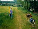 Pfingsten 1990
