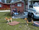 Ostern 2003